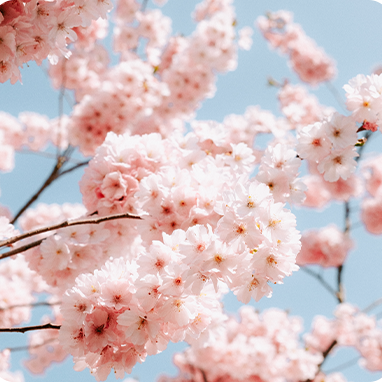柔性振動(dòng)盤(pán)廠(chǎng)家,焊接機器人廠(chǎng)家，柔性振動(dòng)盤(pán)，焊接機器人，工業(yè)機器人，智哥機器人，視覺(jué)上料，機器人系統開(kāi)發(fā),機器人控制器,伺服驅動(dòng)器,機器人本體研發(fā),機器人本體,伺服電機,機器人系統集成,工業(yè)自動(dòng)化成套設備,伺服電缸,伺服電動(dòng)缸,伺服電動(dòng)缸廠(chǎng)家,國產(chǎn)伺服電動(dòng)缸